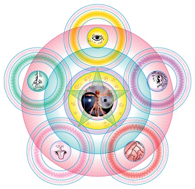 [Whole Body Percepción de brujo]