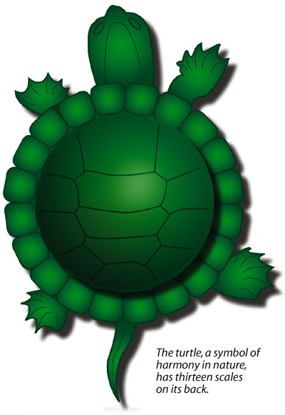 Turtle