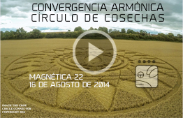 Harmonic Convergence Crop Circle - Magnetic 22 - 16 August 2014 - Kin 30