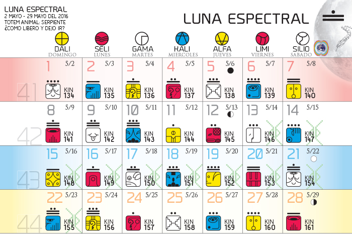 [13 Moon calendar]