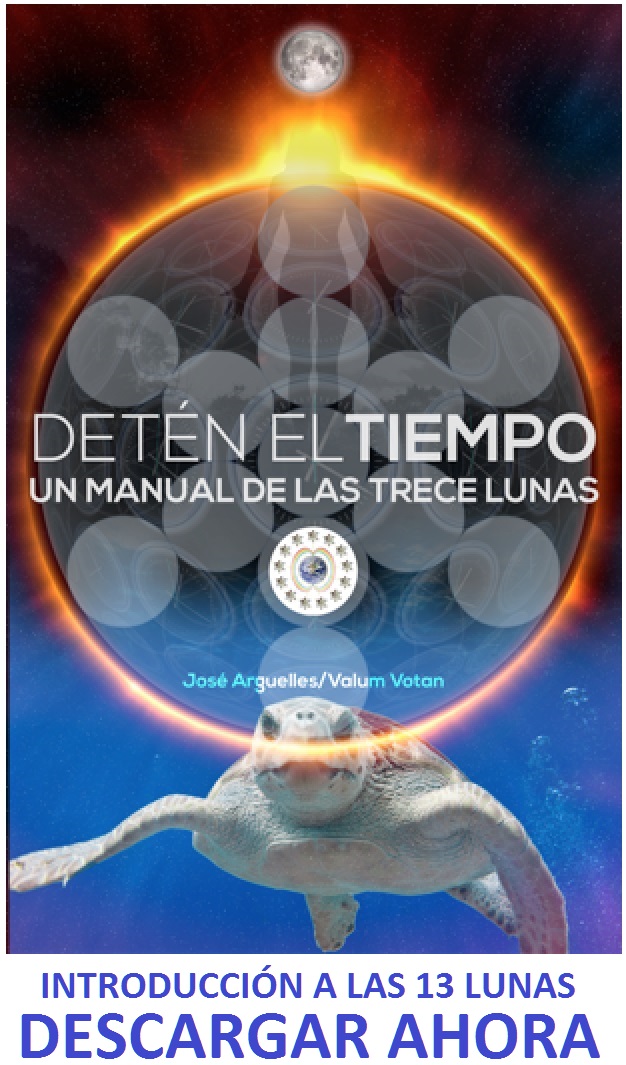 Stopping Time: A 13 Moon Primer - Download Now!