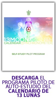 13 Moon Self-Study Pilot Program - DOWNLOAD NOW