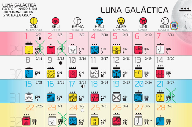 [13 Moon calendar]