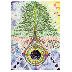 La historia del Tiempo: la historia de la Tortuga y el Árbol