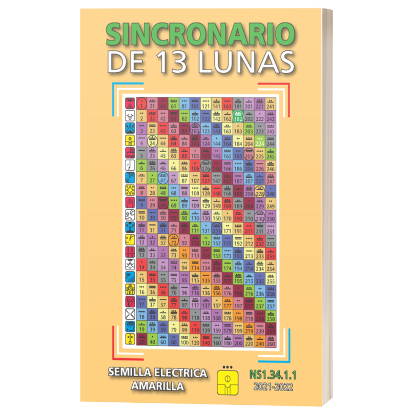 NS1.34 KIN 224 (2021-2022)