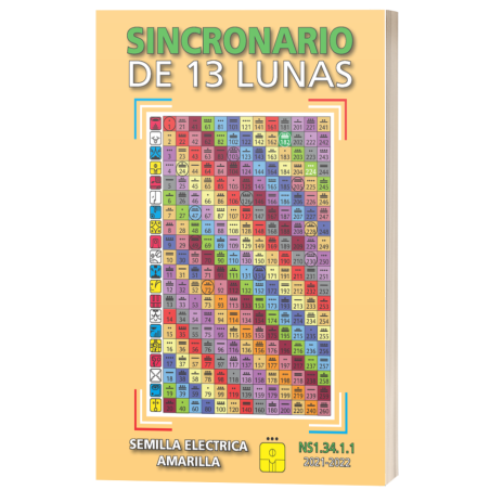 NS1.34 KIN 224 (2021-2022)