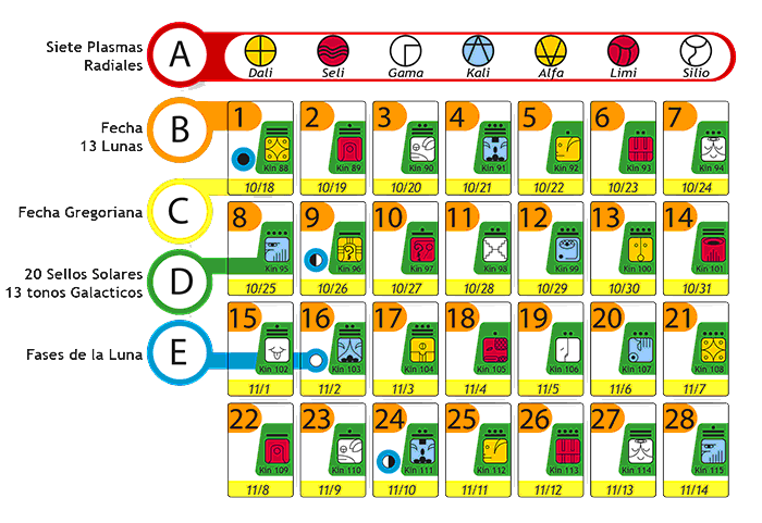 Graphic Showing A Whole Sample Moon from the 13 Moon Calendar